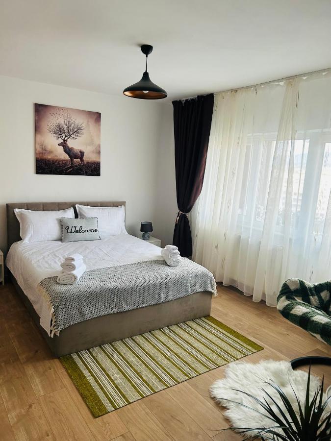 Cosy Nest Appartement