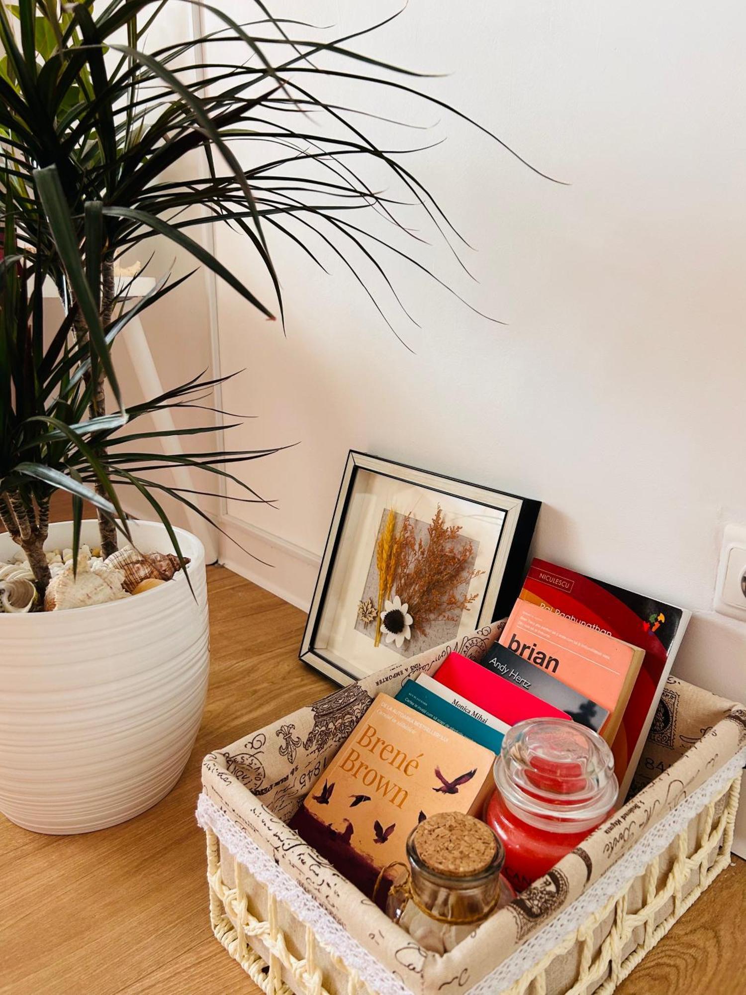 Cosy Nest *